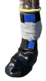 V.I.P Hundsocka MAX Protect Lång 4-pack - Kundfavorit