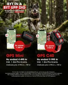 Säker betalning | Lafayette GPS Mini 4G