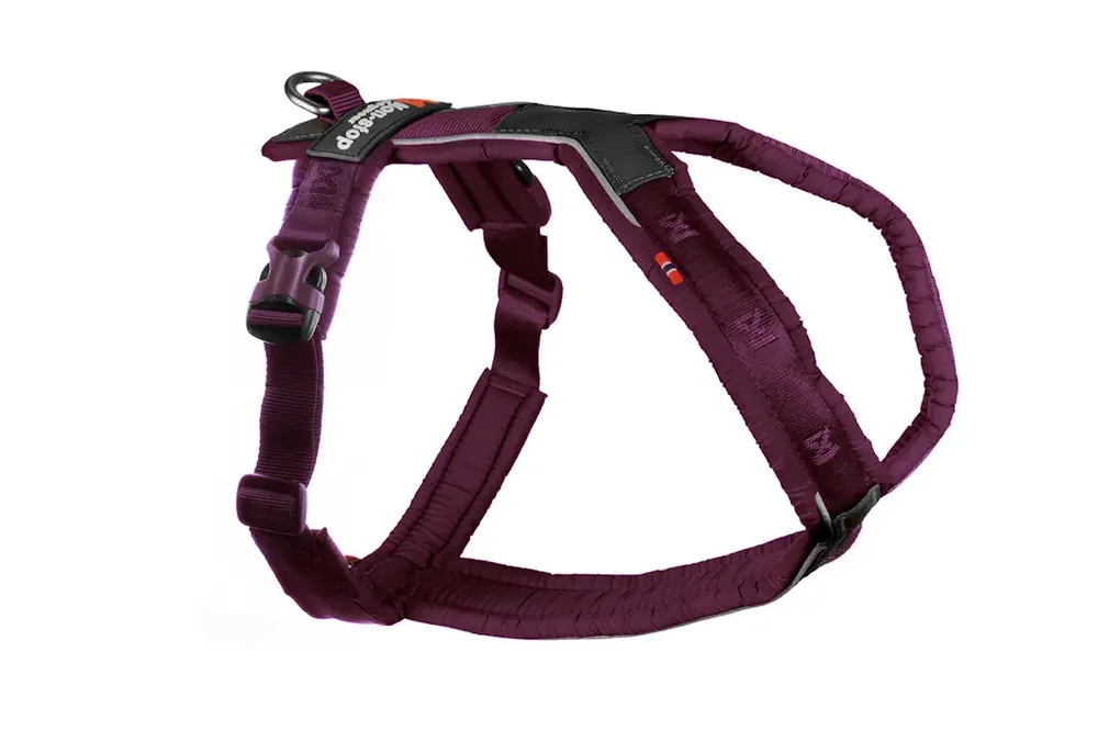 Nyhet hos oss | Non-stop line harness 5.0 lila