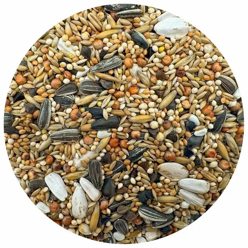 Begränsat antal | Parakitblandning 5kg