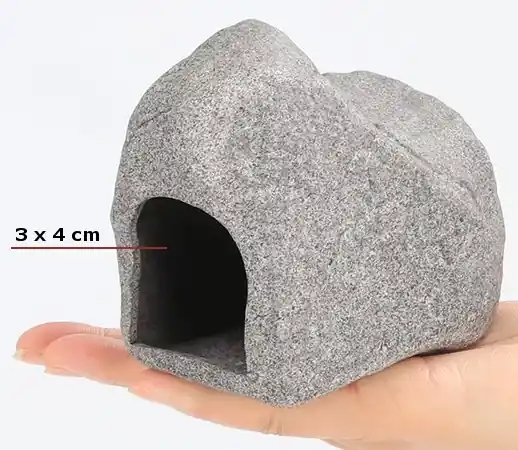 Handla säkert - Stengrotta 12 cm