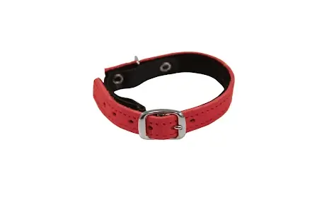 limex kattungehalsband, cerise | Erbjudande