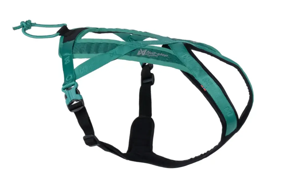 Kanonerbjudande | Non-stop Rush Harness Teal