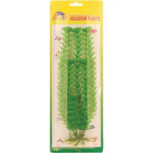Outlet | Limnophila plastväxt 30 cm