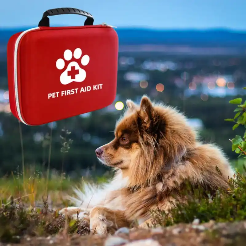 Första Hjälpen-kit Hund - Slutrea