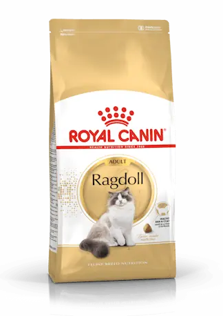 RC Ragdoll Adult, 2kg - Spara nu