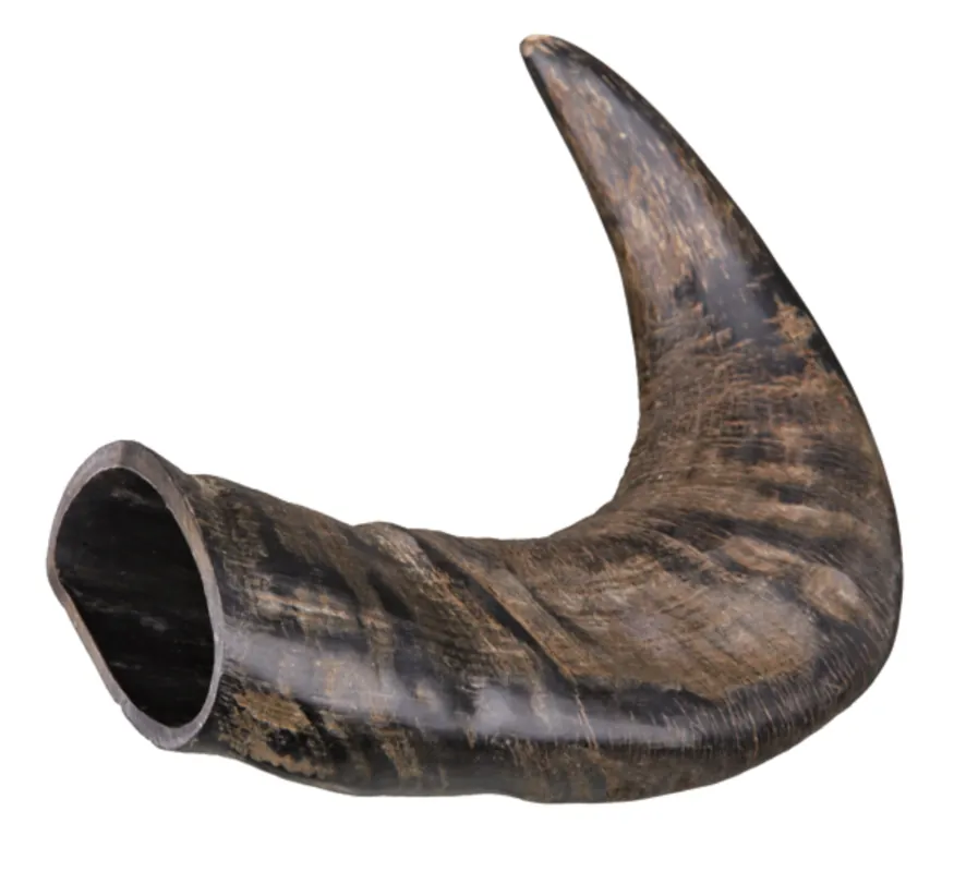 Tugghorn buffel - Toppkvalitet