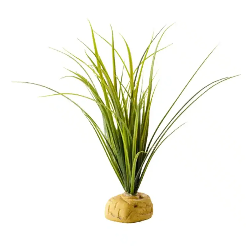 Turtle Grass Exoterra | Väl omtyckt