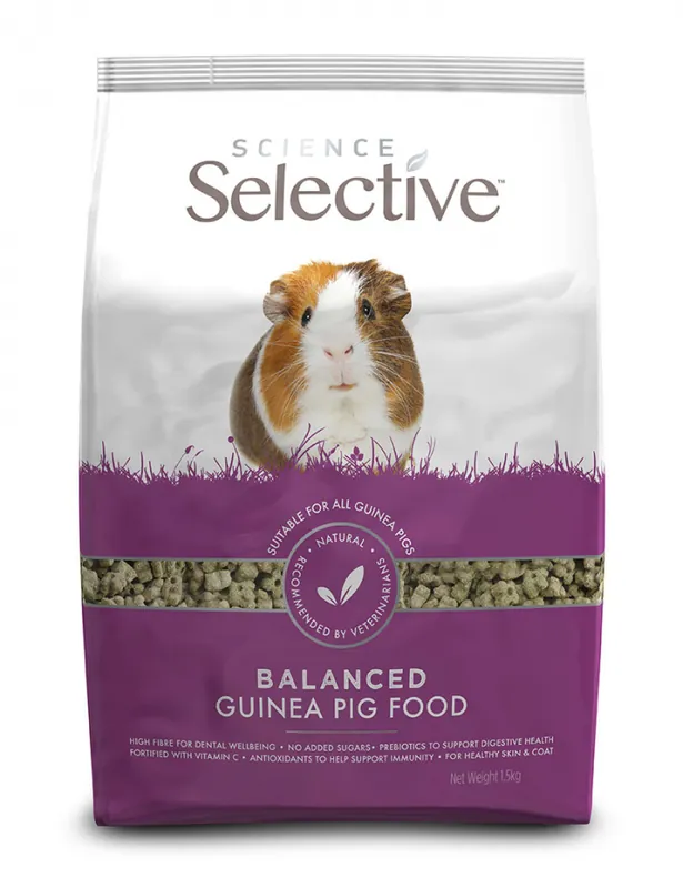 Outlet - Selective Guinea Pig