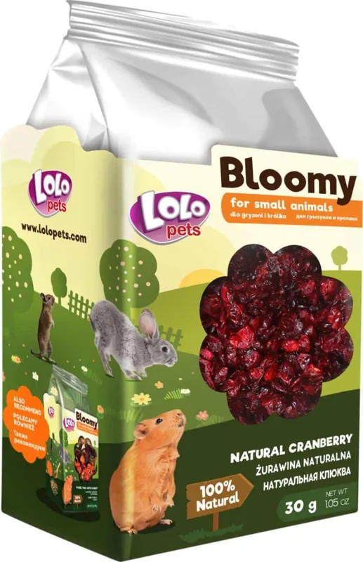 Köp idag - Bloomy Natural cranberries 30g