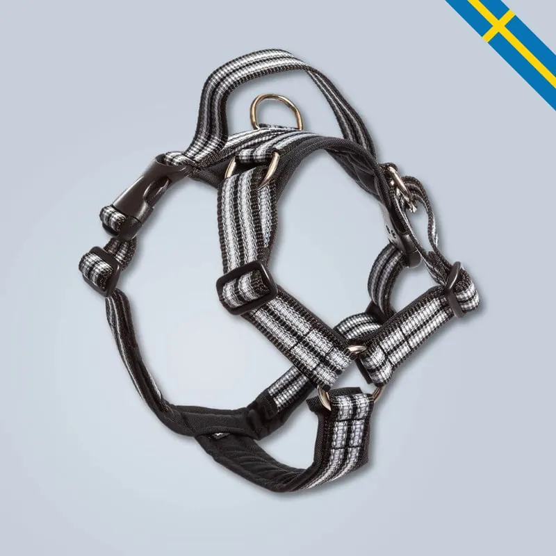 Nedsatt pris | Metizo Sele Future Walking – Svart