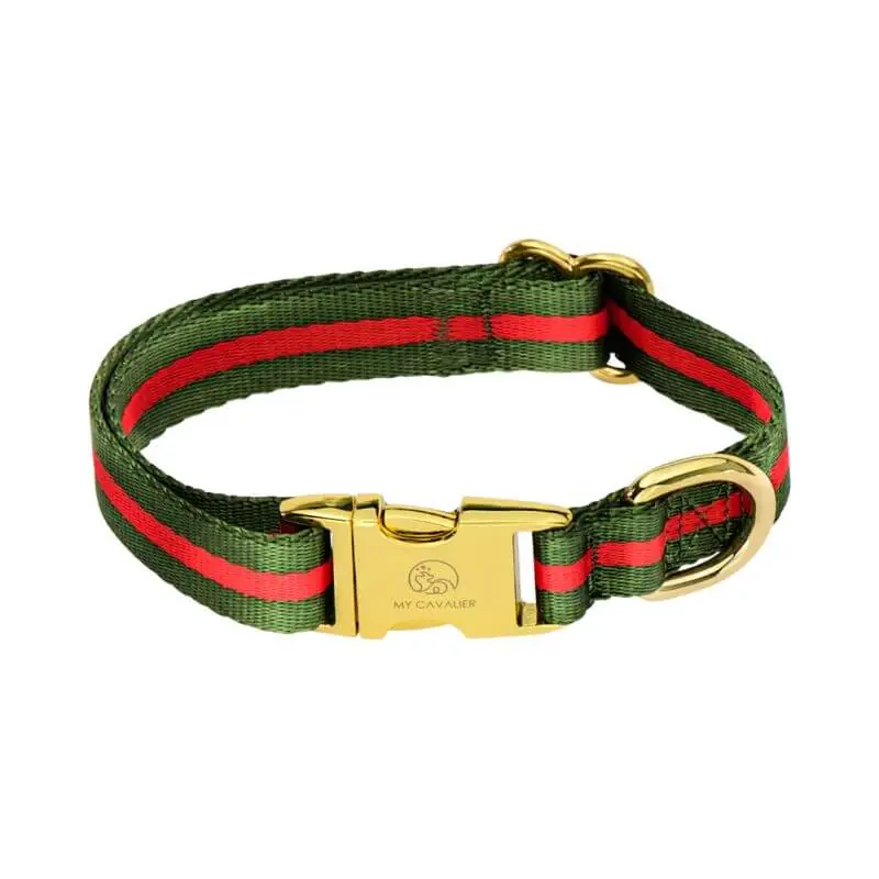 Kundernas favorit | My Cavalier Lux Halsband