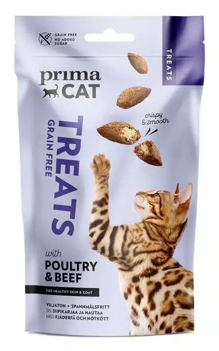 Expressfrakt - Kattgodis som Främjar Hud & Päls – 40 g