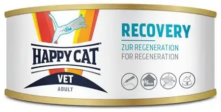 Vet Diet Recovery Våtfoder för Katter – 6 x 100 g | Nytt i sortimentet
