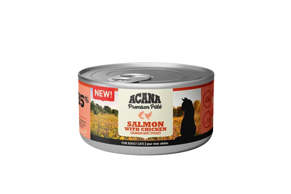 Premium Paté Lax Våtfoder till Katt – 24 st x 85 g - Erbjudande