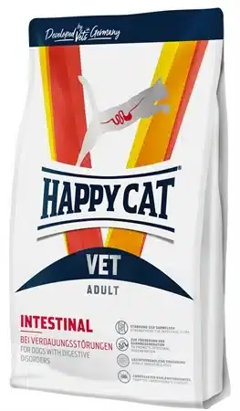 Vet Diet Intestinal Torrfoder för Katt – 1 kg - Efterfrågad