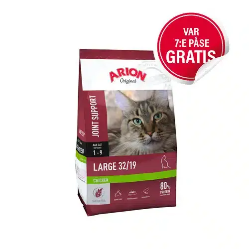 Large 32/19 Kattfoder – 2 kg | Specialpris