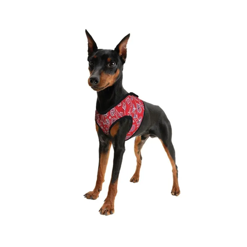 Aqua Coolkeeper Comfy Harness - Dagens erbjudande