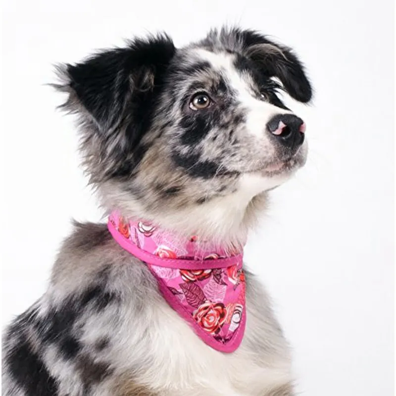 Precis inkommet | Aqua Coolkeeper kylbandana