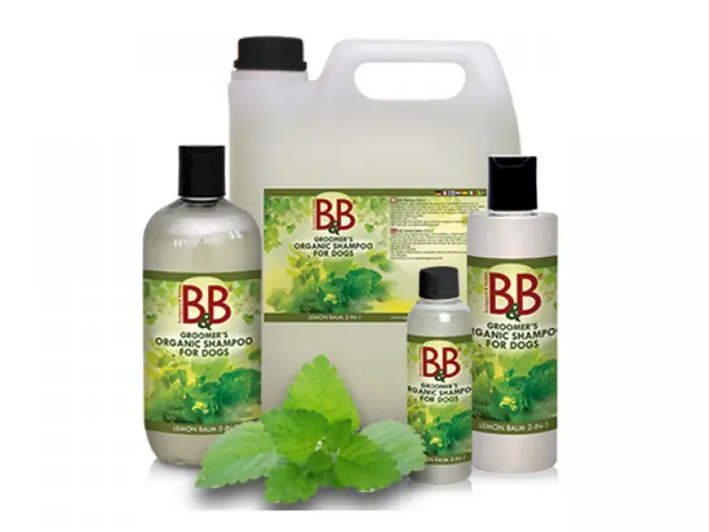 B&B – Schampo med 2 i 1 meliss - Missa inte