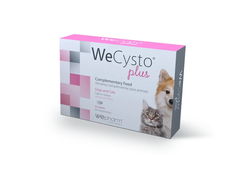 Storsäljare - WeCysto Plus Tabletter - 30 tabletter