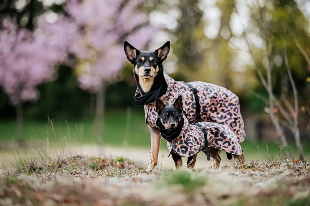 Rabatter | Reflekterande Regnjacka Hund, Leo - 60
