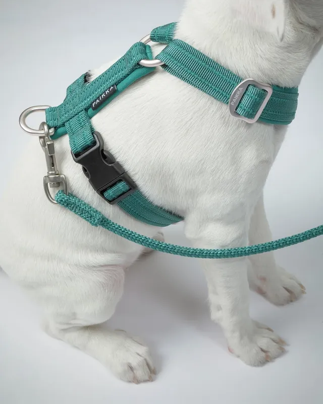 Easy Harness Reflekterande Hundsele Emerald - M | Bra pris just nu