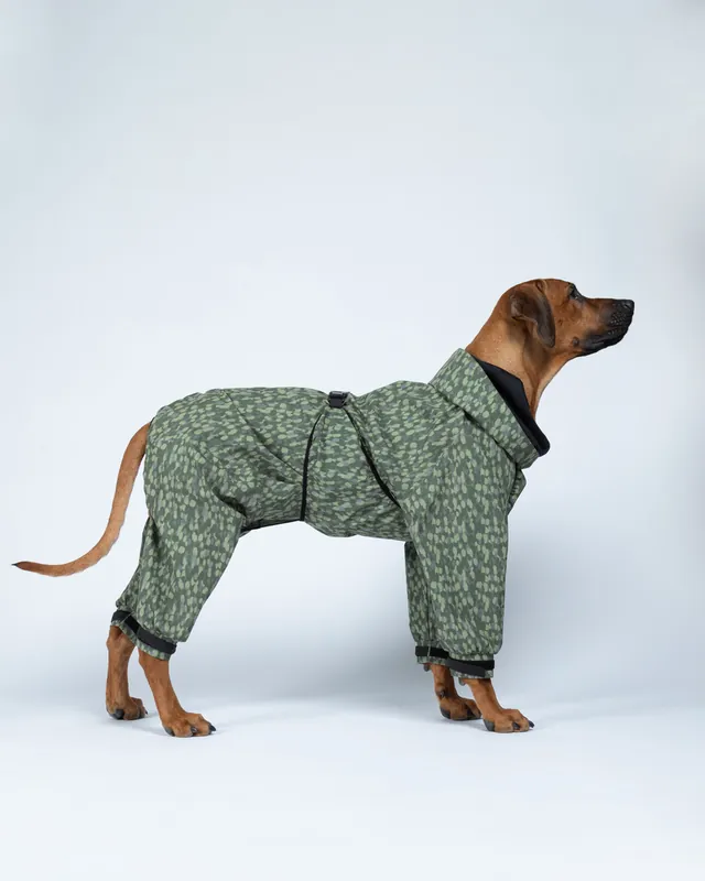 Regnoverall Hund, Grön - 65 | Kundfavorit