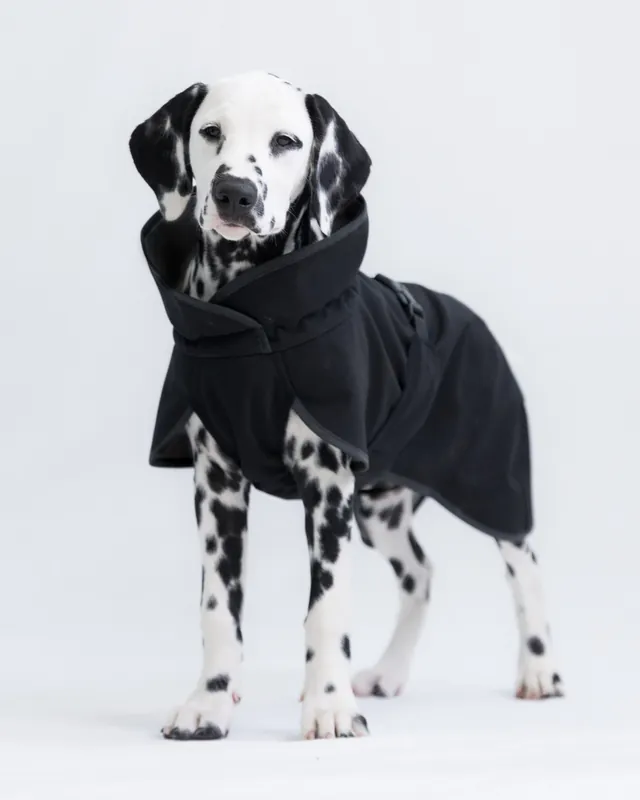 Hög kvalitet - Recovery Softshell Hundjacka Svart - 30