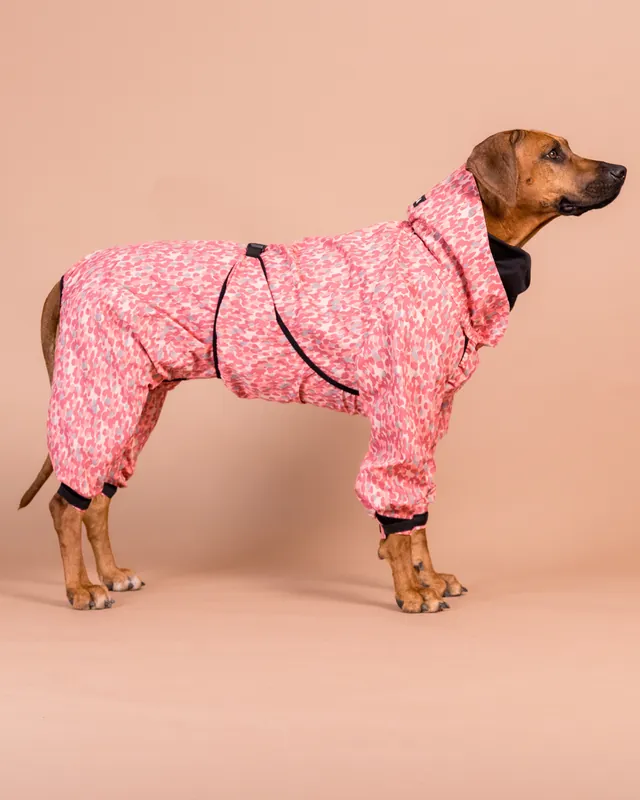 Regnoverall Hund, Röd - 55 | Specialerbjudande