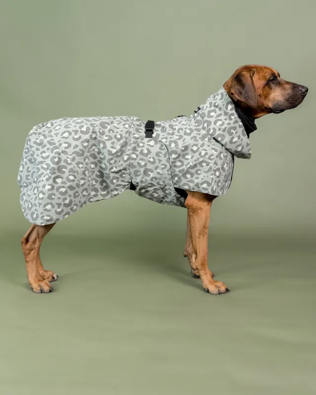 Premiumkvalitet | Reflekterande Regnjacka till hund Grön - 35