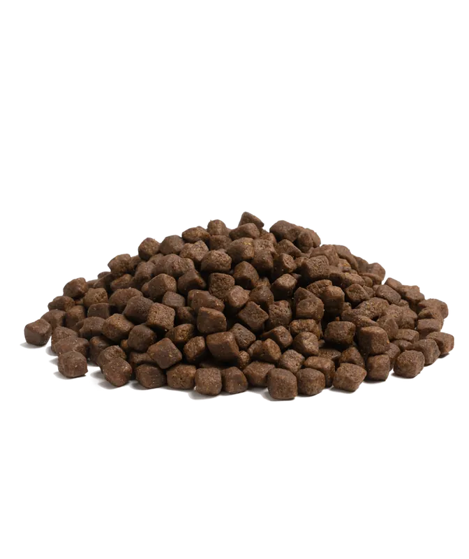 Essential Highland Living Torrfoder till Hund - 2,5 kg - Precis inkommet