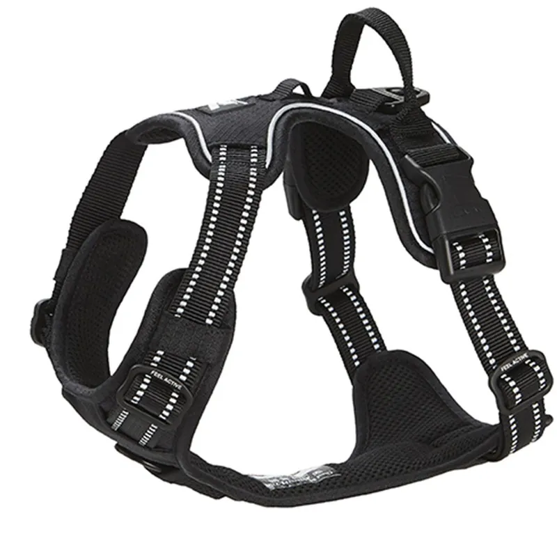 Feel Active Training Hundsele Svart - Storsäljare
