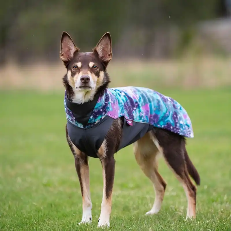Skaffa nu | Pomppa Jumppa Fleecetäcke Hund Aurora