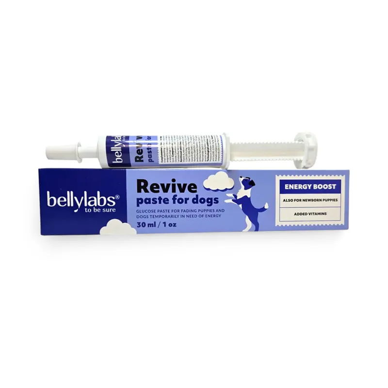 Superpris - Bellylabs Revive Paste för Hund 30 ml