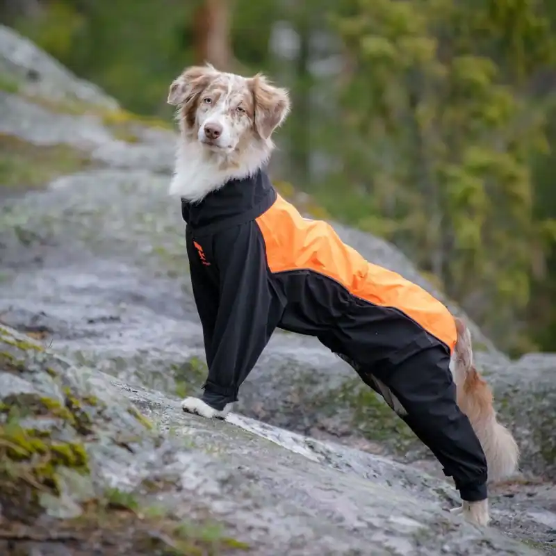 Feel Active Helsingborg Hundoverall Reflex Svart/Orange - Sänkt pris
