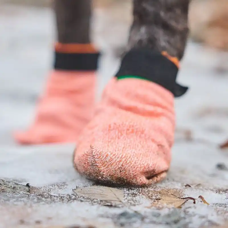 Non-Stop Dogwear Protector Light Hundsocka 4 st | Fynd