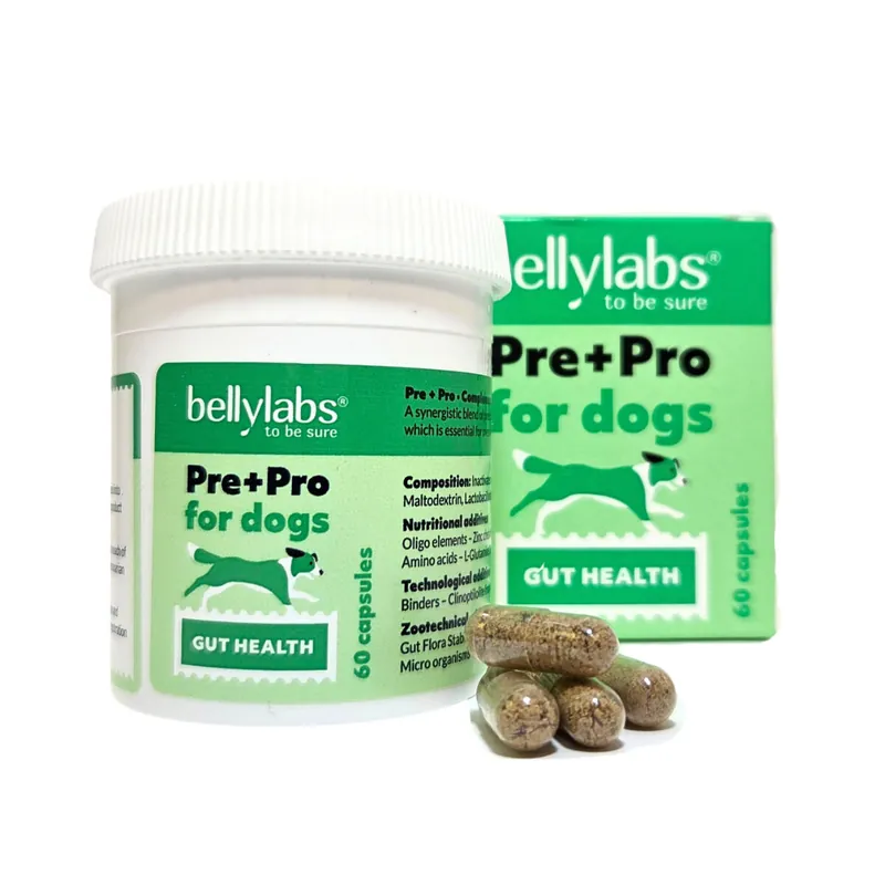 Bellylabs Pre+Pro för Hund 60 Kapslar | Ta chansen