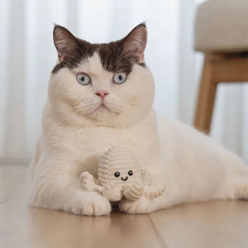 Begränsat lager - Beeztees Eco Cat Nome Bläckfisk
