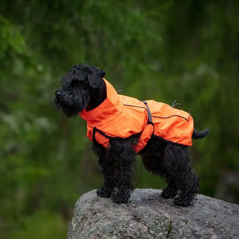 Feel Active Reflective Regnjacka Orange - Favorit