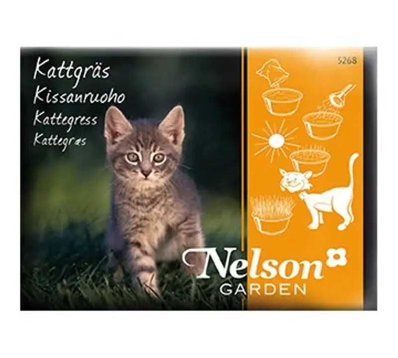 Kattgräs i fröpåse - Handla nu
