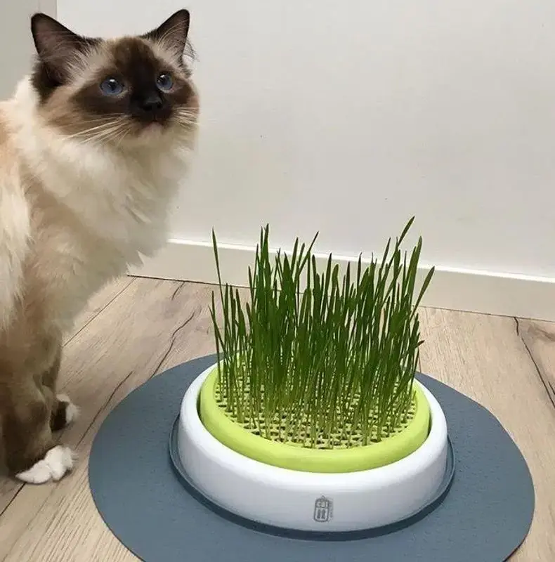 Gratis retur - CatIt Senses Grass Garden