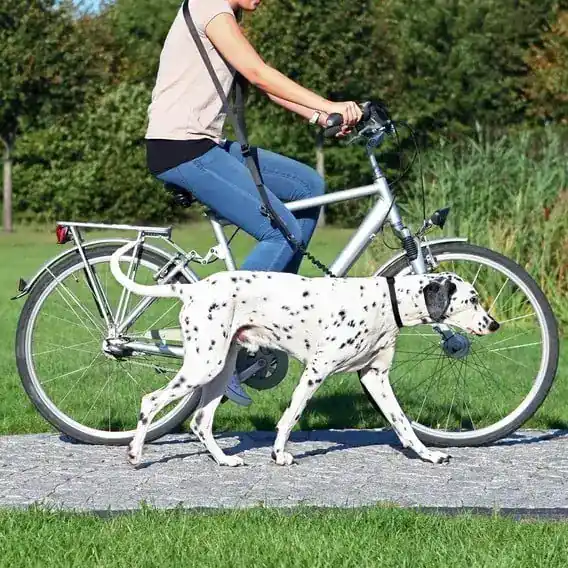 TRIXIE hund biker set | Nytt lägre pris