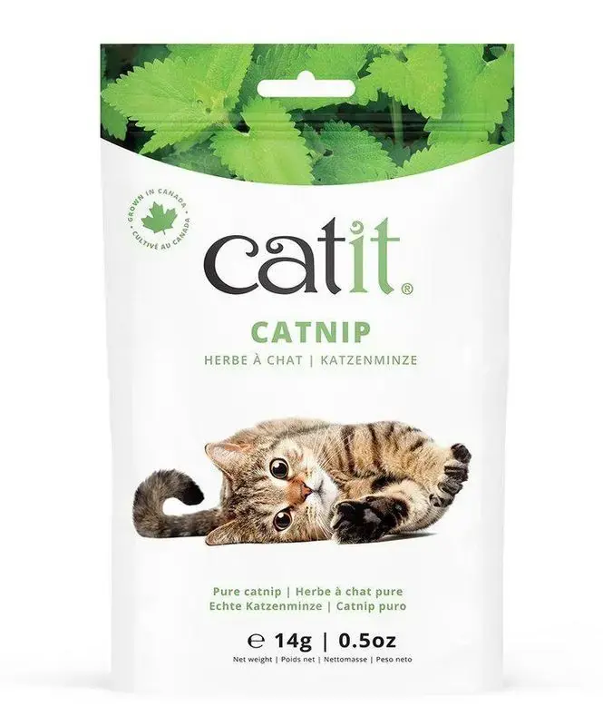 Outlet - CatIt Kattmynta 14g