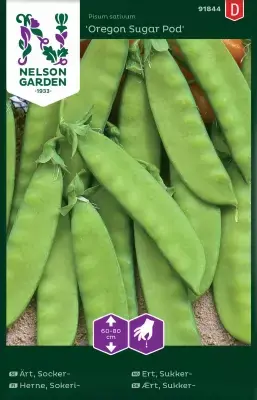 Ärt, Socker-, Oregon Sugar Pod, Halvhög - Tillverkarpris