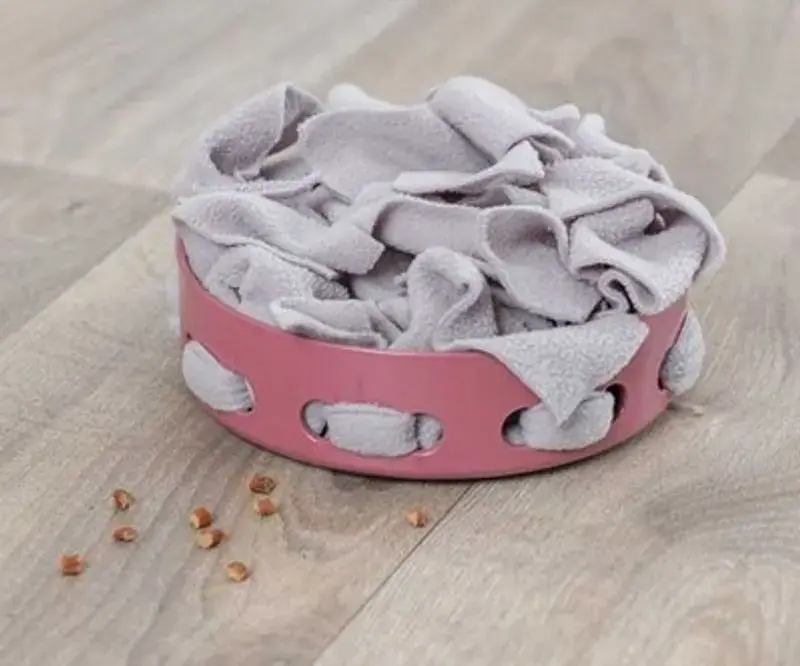 Enkel retur | Cat Activity Hide’n’Sniff