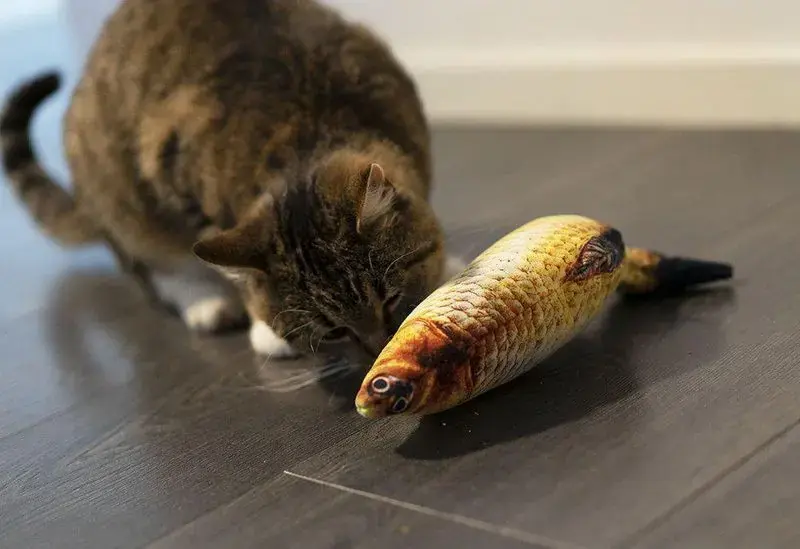 Sprattlande FISK GRÄSKARP | Reapris