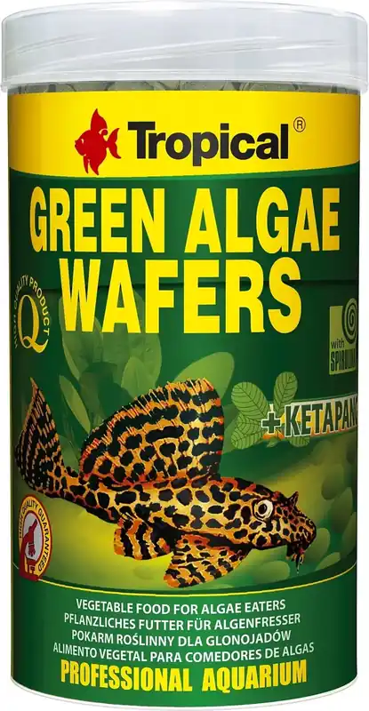 Fabrikspris | Tropical Green Algae Wafers, 250 ml