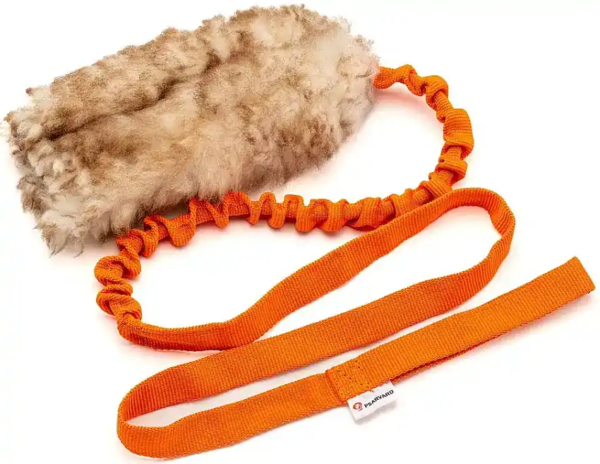 Kampleksak – Saba, Orange | Populär