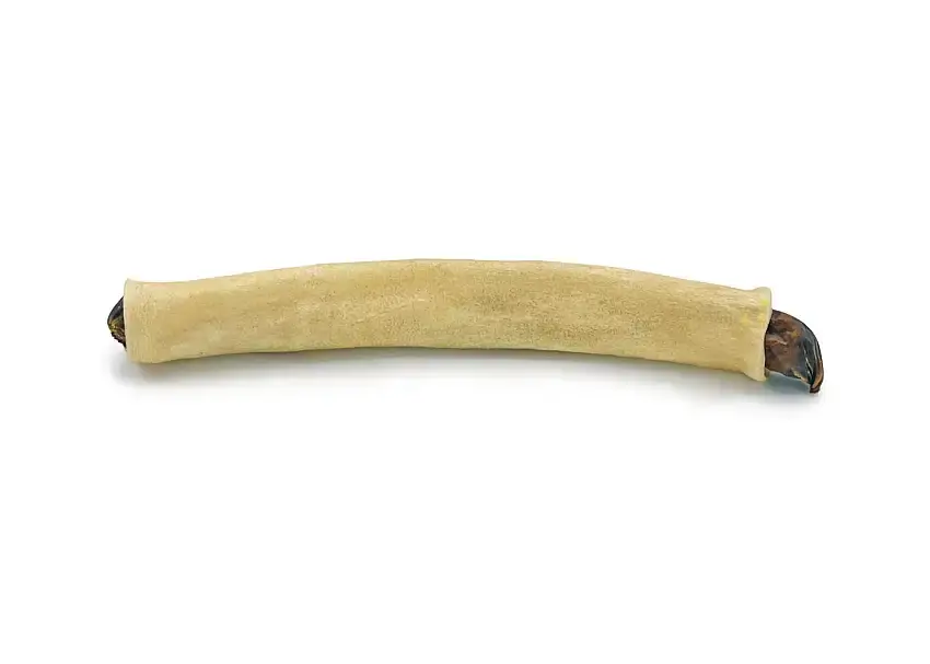 Rauh Moose Bullet - Extra rabatt